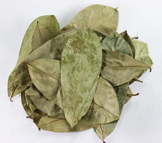 Soursop Leaves