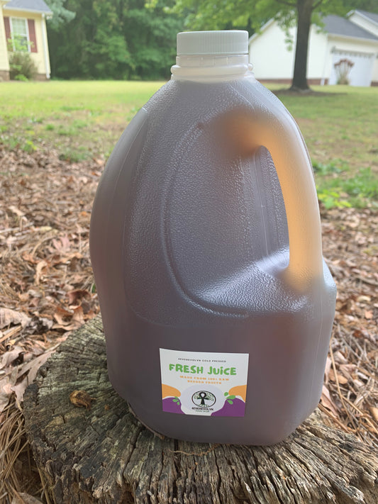 4everevolvn Organic Sea Moss Infused Herbal Tea