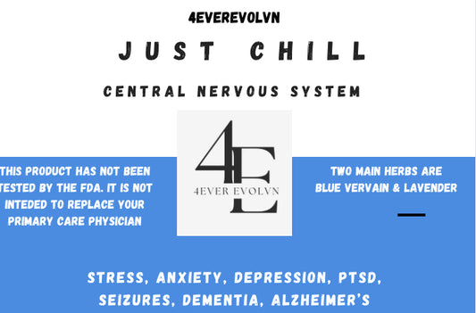 4everevolvn Just Chill_Calming