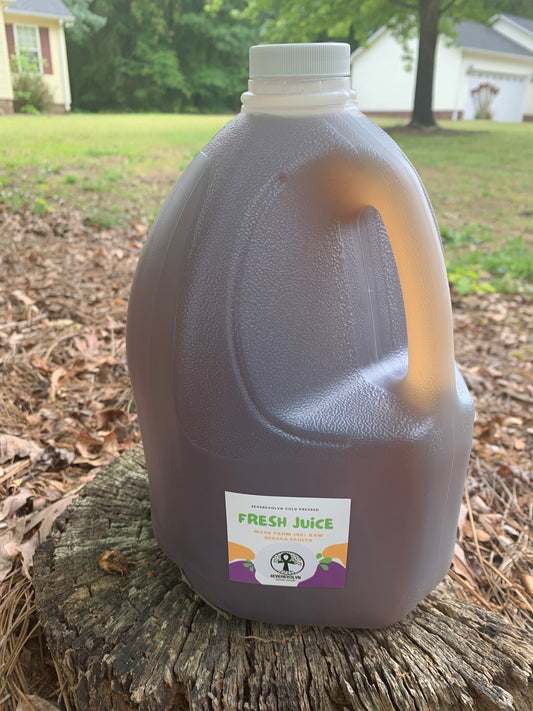 4everevolvn Organic Sea Moss Infused Herbal Tea