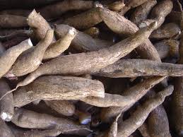 Burdock Root